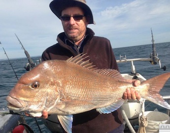 Trips to Westernport Bay and Port Phillip Bay